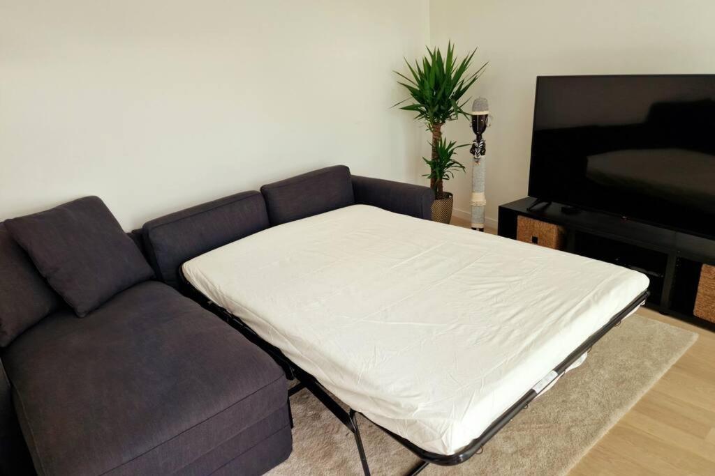 Magnifique Appartement Sur La Seine Alfortville Buitenkant foto